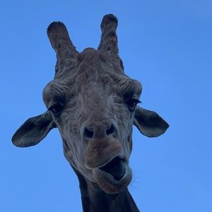 Meet your Posher, Kevin